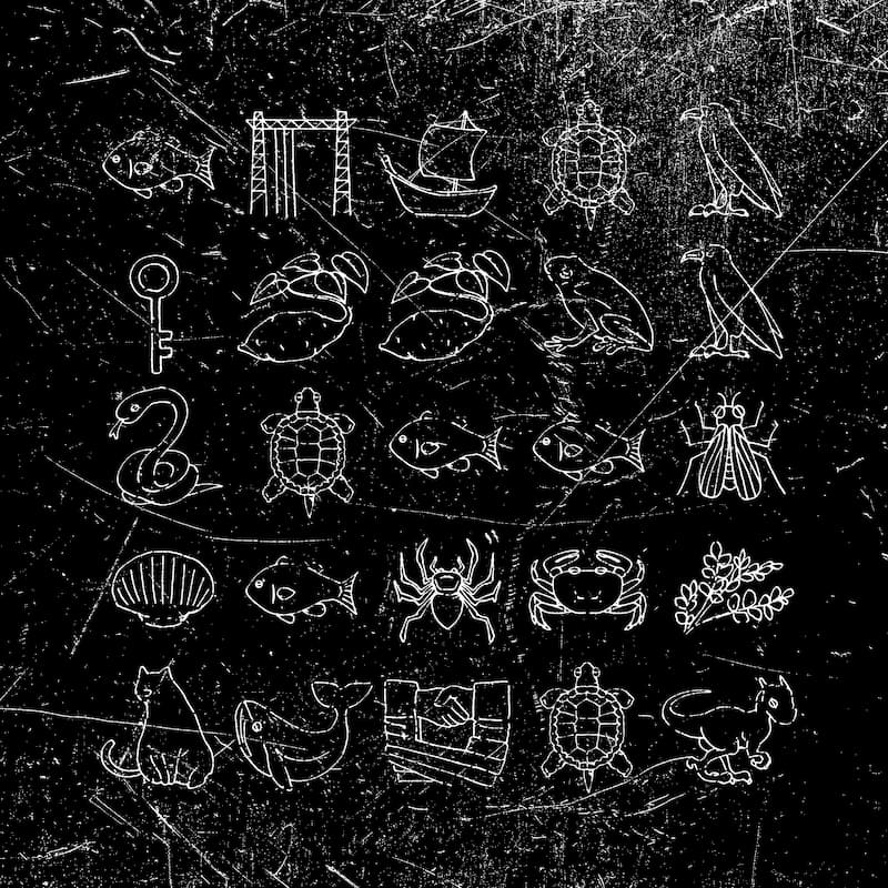 features a chalkboard-like background with white line drawings that resemble constellations or illustrations of various animals and objects. There are sketches of fish, birds, turtles, crabs, a ship, a key, a snake coiled around the number two, a cat, a chicken, a squirrel, and some plants.